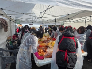 Adobe Express - file (3)