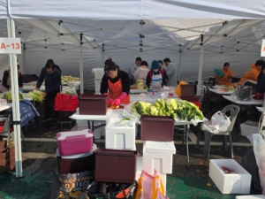 Adobe Express - file (5)